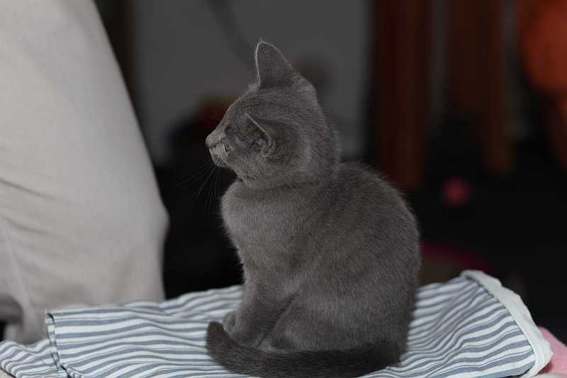 Bilder der Jungtiere