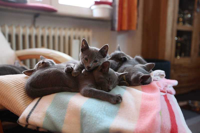 Bilder der Jungtiere