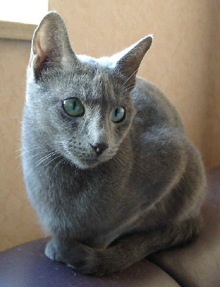 Raissa24.5.2003