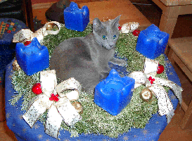 Jetzt ist Adventszeit